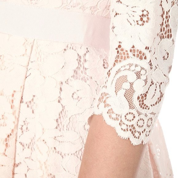 Ted Baker London Ameeya Flora Lace Fit & Flare Dress in Light Pink Pleated Skirt - Picture 10 of 17